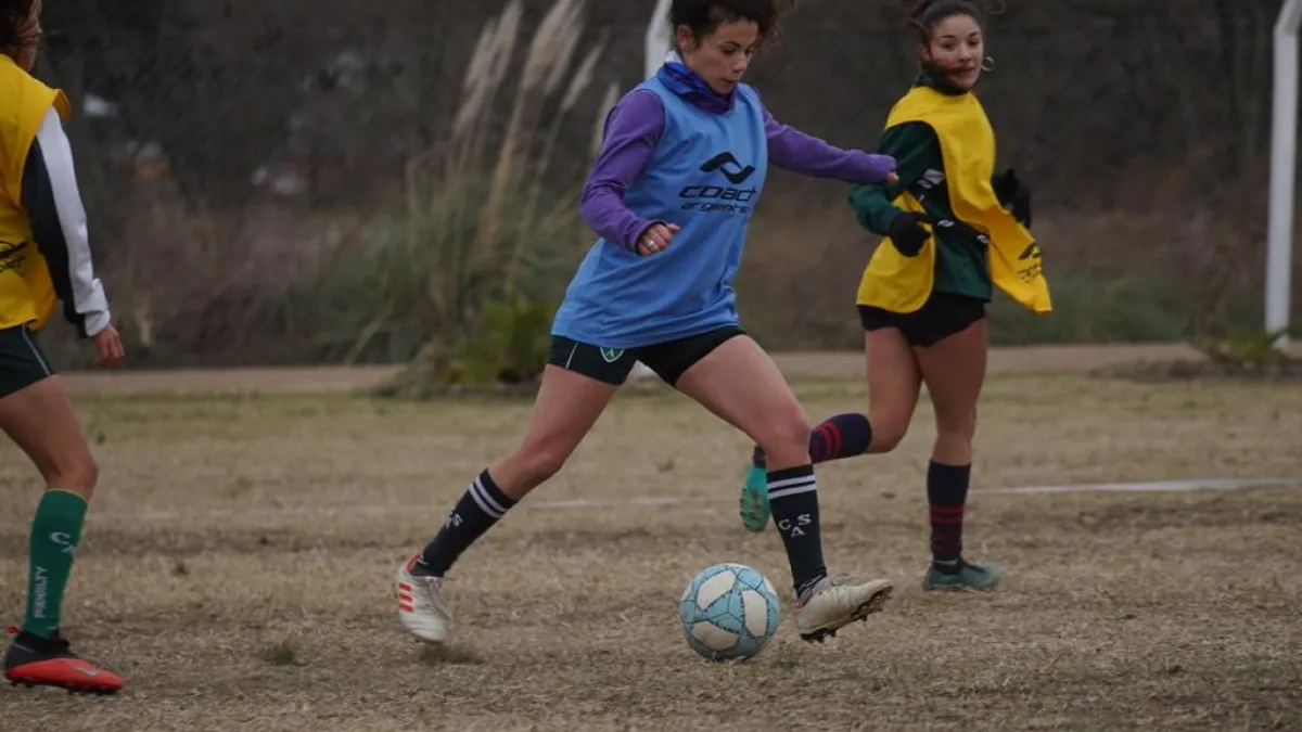 Debut a la vista